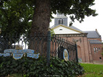 Wilhelminaboom